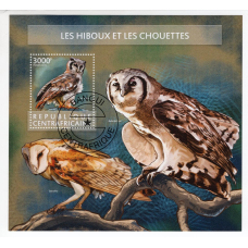 ЦАР. 2015. Сови. Птахи.(1)