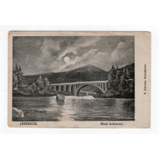 Листівка. Яремче. Залізничний міст. F. Schwarz.