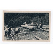 Листівка. Яремче. Заготівля лісу. RUCH