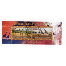 Djibouti 2010. Жирафа.