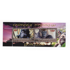 Djibouti 2010. Горила