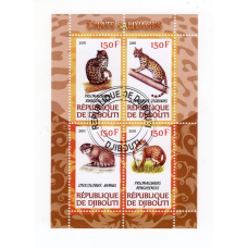 Djibouti 2011. дикі коти