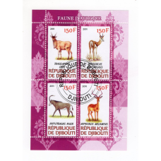 Djibouti 2011. Фауна Африки 5