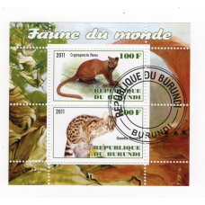 Бурунді 2011. Фауна світу. Фоса. Генета.