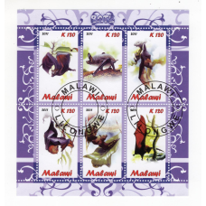 Малаві 2011, Кажани. фауна
