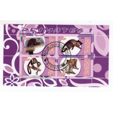 Республіка Конго 2010, примати. фауна