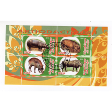 Республіка Конго 2010, Artiodactyles. Парнокопитні. фауна (1)