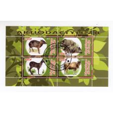 Республіка Конго 2010, Artiodactyles. Парнокопитні. фауна (2)