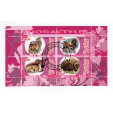 Республіка Конго 2010, Artiodactyles. Парнокопитні. фауна (5)