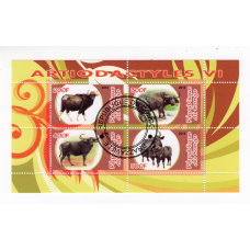 Республіка Конго 2010, Artiodactyles. Парнокопитні. фауна (6)