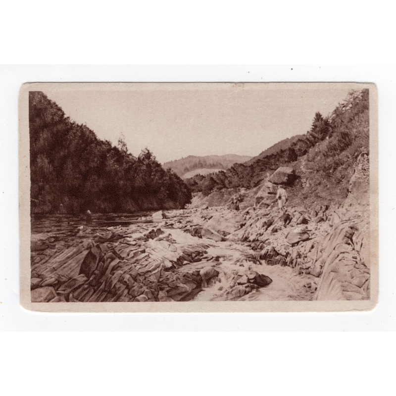 Листівка. Санаторій доктора Тарнавського. Околиці Косова - Гук.