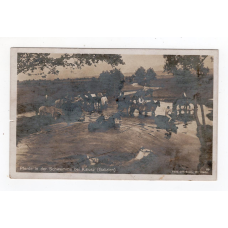 Листівка. Калуш Коні в паводку біля Калуша (Галичина)