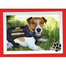 Україна 2022 - листівка Пес Патрон