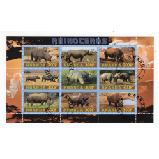 Руанда 2010. Фауна. Носоріг. Rhinoceros