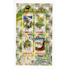 Руанда 2010. Фауна. Птахи. Папуги. (3)