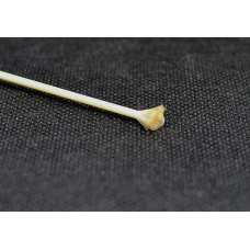 Пензлик скловолоконний для чистки монет (під обпалювання) діаметр 2,5мм, довжина 130 мм (міні)