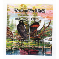 Малаві 2011, Птахи. Орли