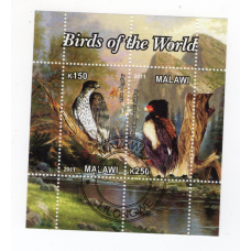 Малаві 2011, Птахи. Орли 2