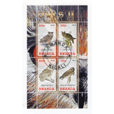 Руанда 2010. Фауна. Птахи. Сови. 2