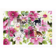 Чад 2012 Коти 2