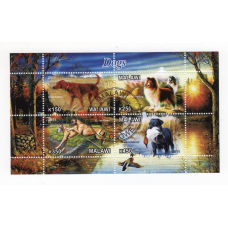 Малаві 2011, Собаки