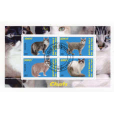 Бурунді 2011. Коти 7