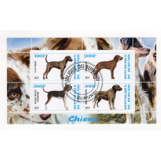 Бурунді 2011. Собаки 8