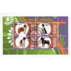 Республіка Конго 2010, Собаки