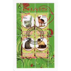 Республіка Конго 2010, Коти