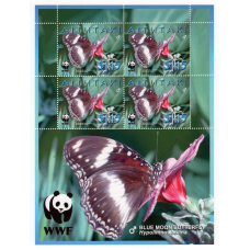 Аїтутакі 2008 WWF Butterflies - Метелики - Blue Moon Butterfly 1.15$ # 795