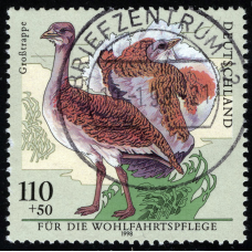 Німеччина 1998. 110 Pfg Птахи - дрохва велика Otis tarda №1893
