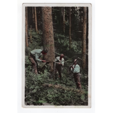 Листівка. Гуцули. Гуцульські лісоруби. Ясиня