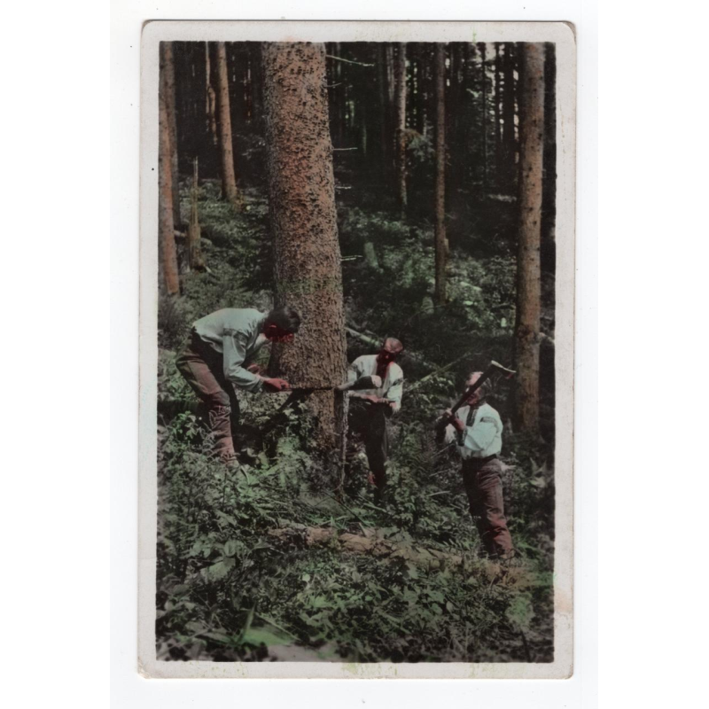 Листівка. Гуцули. Гуцульські лісоруби. Ясиня
