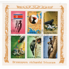 Північна Корея. 1978. Drycopus richardsi Tristram. фауна. птахи. блок