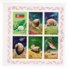 Північна Корея. 1977. молюски. фауна. блок